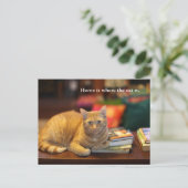 Briefkaart Oranje kat (Staand voorkant)