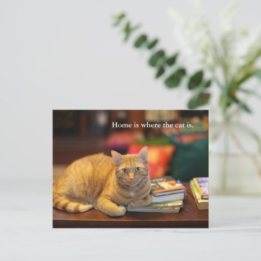 Briefkaart Oranje kat (Staand voorkant)