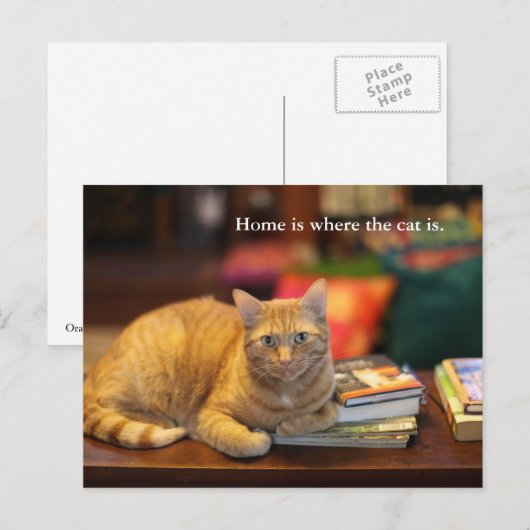 Briefkaart Oranje kat (Voorkant / Achterkant)