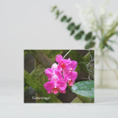 Briefkaart - Orchid (Staand voorkant)