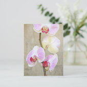 Briefkaart Orchid Flowers (Staand voorkant)