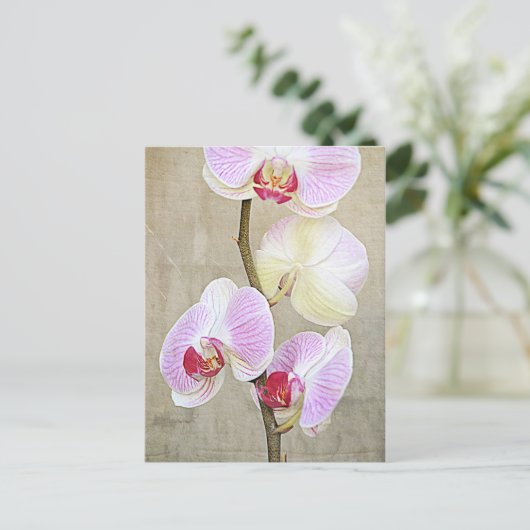 Briefkaart Orchid Flowers (Staand voorkant)