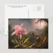Briefkaart: Orchidee en kolibries Briefkaart (Voorkant / Achterkant)
