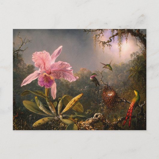 Briefkaart: Orchidee en kolibries Briefkaart (Voorkant)