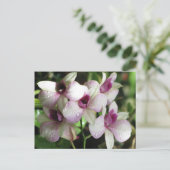 Briefkaart Orchideeën, aanpassen (Staand voorkant)
