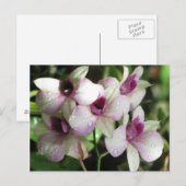 Briefkaart Orchideeën, aanpassen (Voorkant / Achterkant)