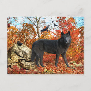 briefkaart "Orion & The Crows"