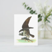 Briefkaart: Osprey - John Audubon Briefkaart (Staand voorkant)