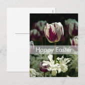Briefkaart | Osterpostkarte Tulpen van Pasen van (Voorkant / Achterkant)
