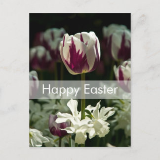 Briefkaart | Osterpostkarte Tulpen van Pasen van