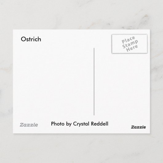 Briefkaart Ostrich (Achterkant)