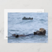 Briefkaart otter (Voorkant / Achterkant)