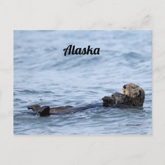 Briefkaart otter (Voorkant)