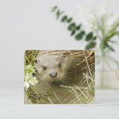 Briefkaart Otter Habitat (Staand voorkant)