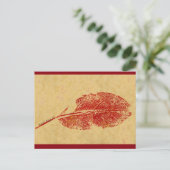 briefkaart over de landweg "Little Leaf" (Staand voorkant)
