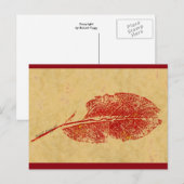 briefkaart over de landweg "Little Leaf" (Voorkant / Achterkant)