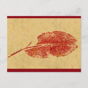 briefkaart over de landweg "Little Leaf"