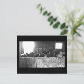 Briefkaart overbelaste koeien. (Staand voorkant)