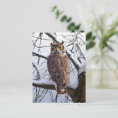 briefkaart "Owl in Winter" (Staand voorkant)