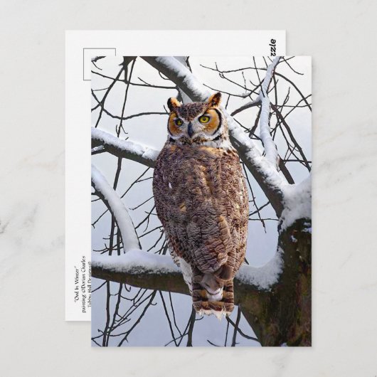 briefkaart "Owl in Winter" (Voorkant / Achterkant)