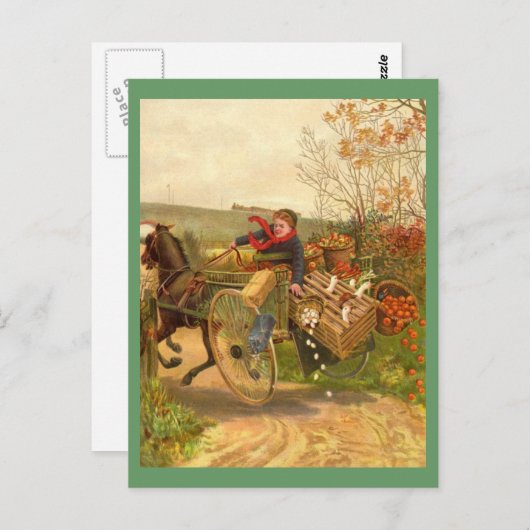 Briefkaart  paard (Voorkant / Achterkant)