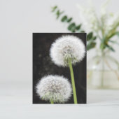 Briefkaart - Paardebloemen (Staand voorkant)