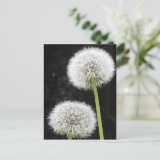 Briefkaart - Paardebloemen (Staand voorkant)