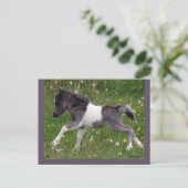 Briefkaart paarden #3 (Staand voorkant)