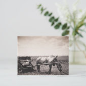 Briefkaart "Paarden en vervoer" (Staand voorkant)
