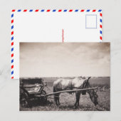 Briefkaart "Paarden en vervoer" (Voorkant / Achterkant)