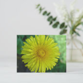 Briefkaart - Paardenbloem (Staand voorkant)