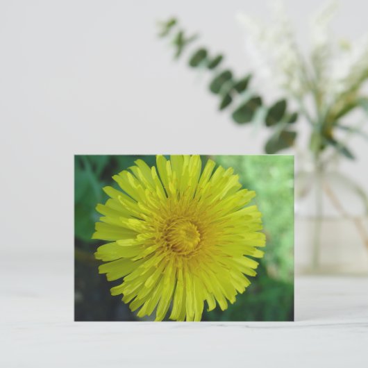 Briefkaart - Paardenbloem (Staand voorkant)