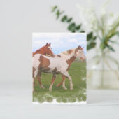 Briefkaart Paardenhaar (Staand voorkant)