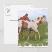 Briefkaart Paardenhaar (Voorkant / Achterkant)
