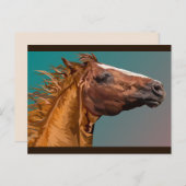 briefkaart paardenkop (Voorkant / Achterkant)