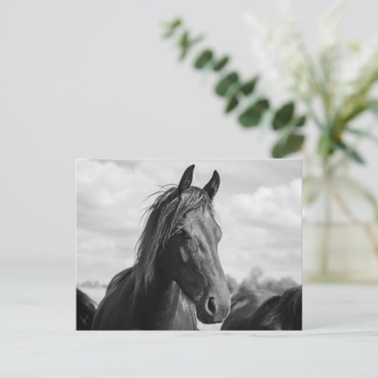 briefkaart paardenkop (Staand voorkant)