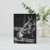 Briefkaart Paardenprofiel (Staand voorkant)