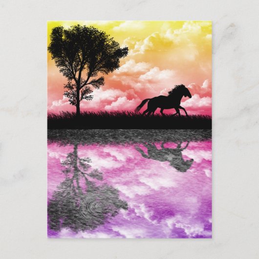 Briefkaart Paardenreflecties (Voorkant)