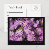 Briefkaart Paars Flowers (Voorkant / Achterkant)