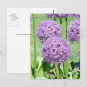 Briefkaart Paars Flowers (Voorkant / Achterkant)
