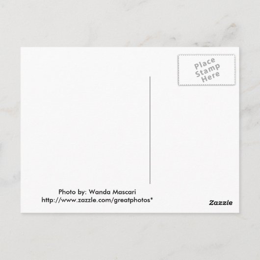 Briefkaart Paars Flowers (Achterkant)