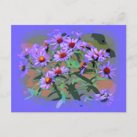 briefkaart paarse asters (Voorkant)