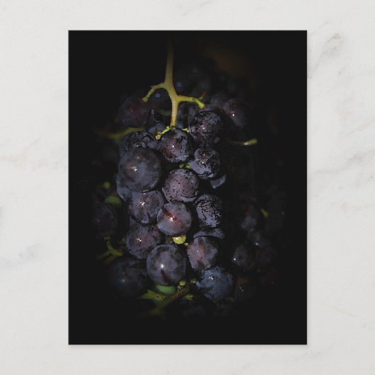 Briefkaart Paarse druiven (Voorkant)