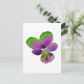 Briefkaart Paarse en groene Pansy (Staand voorkant)