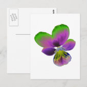 Briefkaart Paarse en groene Pansy (Voorkant / Achterkant)