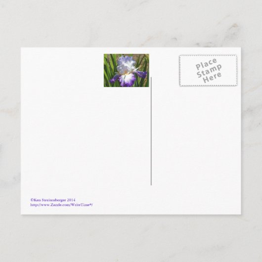 briefkaart, "PAARSE EN WITTE IRIS MET GOUD" Briefkaart (Achterkant)