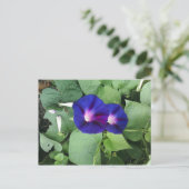 Briefkaart Paarse morning Glory Flowers (Staand voorkant)