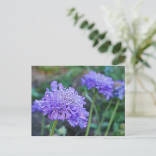 Briefkaart Paarse speldenkussen (Staand voorkant)