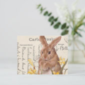 Briefkaart paasbunny Daffodil (Staand voorkant)