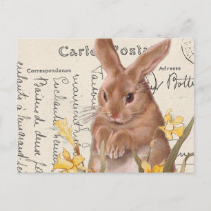  Briefkaart paasbunny Daffodil